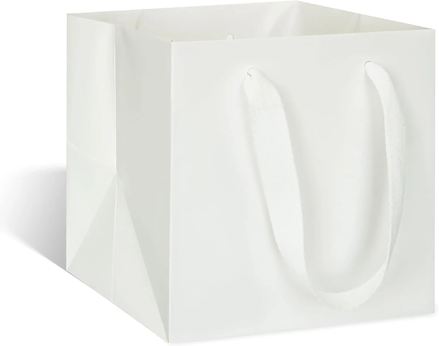 ADIDO EVA White Square Gift Bags Medium Size Square Bottom Paper Bags with Handles for Party Favor, Shopping Packaging Bags (10x10x10 IN, 10 CT)