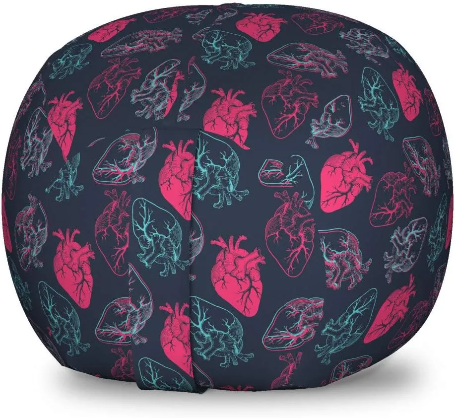 Ambesonne Human Anatomy Storage Toy Bag Chair, Anatomical Heart Analogy Veins Stems Palpitating Organ Sketch, Stuffed Animal Organizer Washable Bag, Small Size, Hot Pink and Charcoal Grey