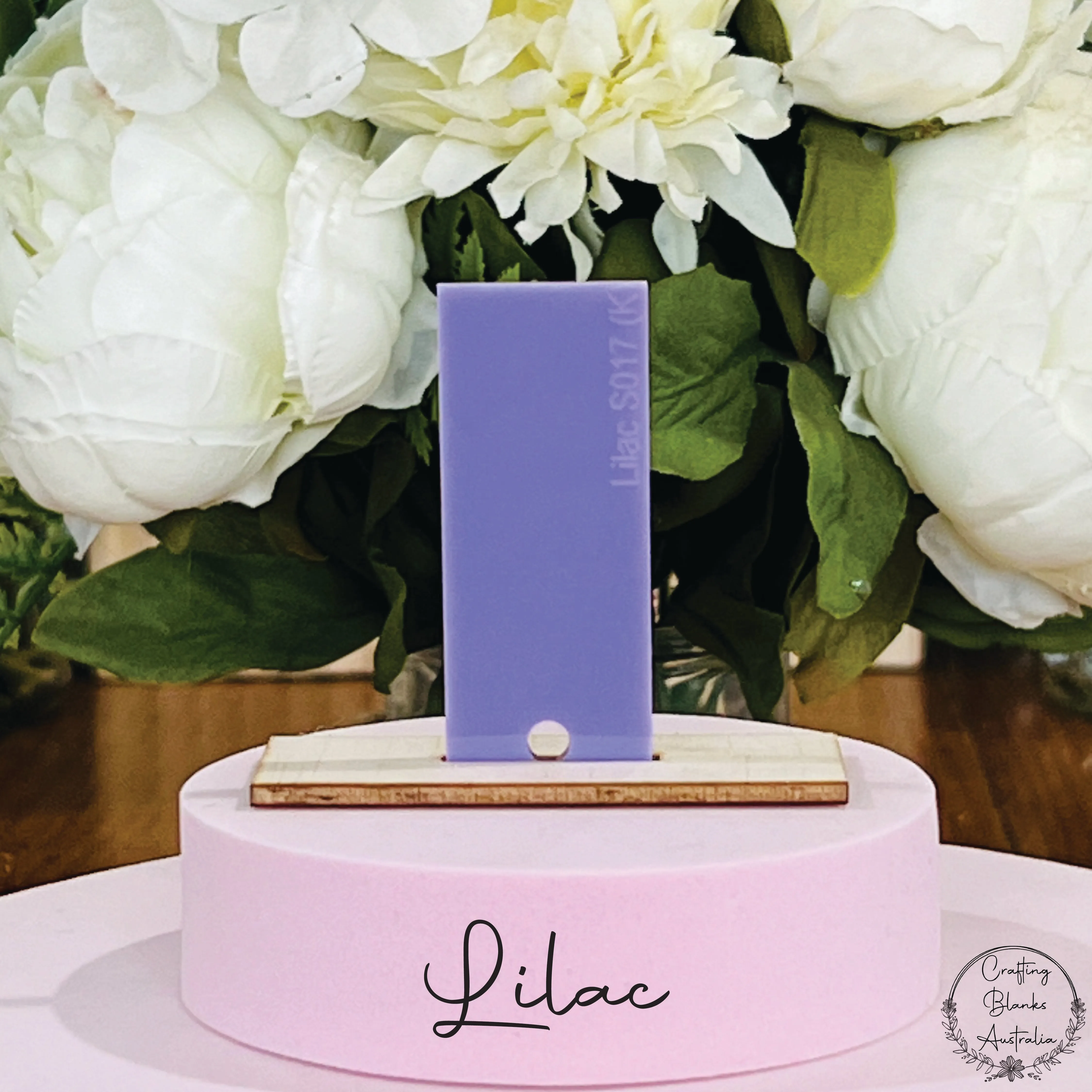 Birthday Cake • Arch Blank Tag • 50mm x 90mm