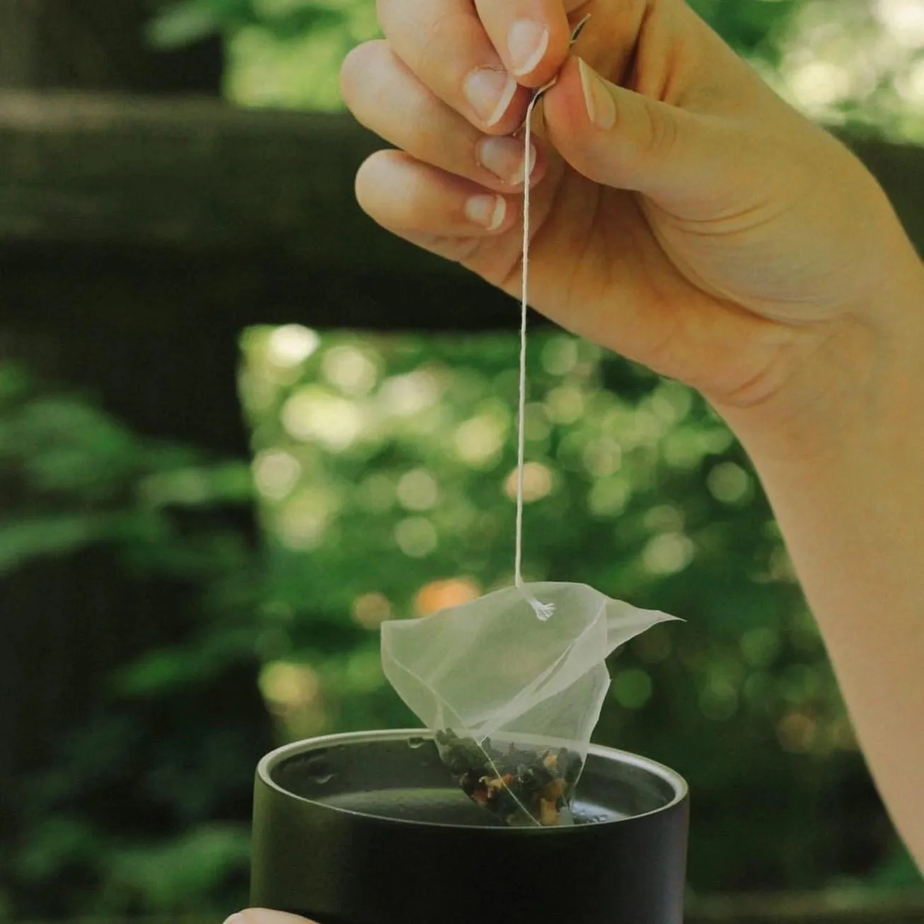 Hibiscus Rose Individually Wrapped Tea Bag