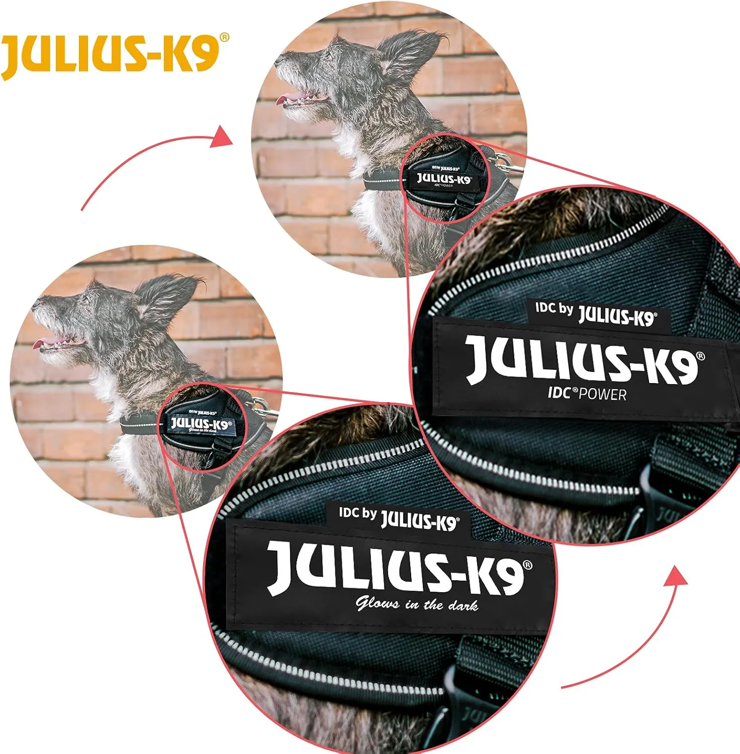 Julius-K9 Julius K9 IDC Power Harness, Size: L/1, Arabesque Green