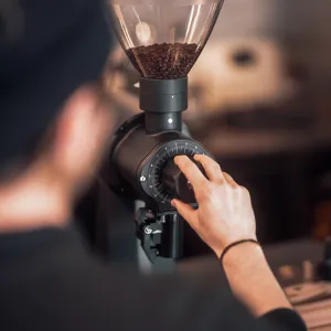 Mahlkonig EK43 Coffee Grinder