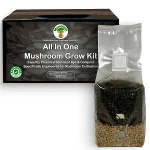 Mushroom All in One Growing Kit with Injection Ports | Indoor Grow Bags for Mushrooms | Home Cultivation Supplies | Without Spores | 2 Pack