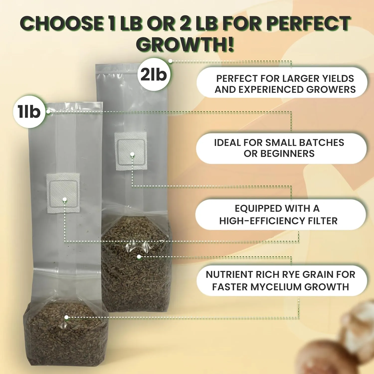 Mushroom Growing Kit | Sterilized Rye Grain | Magic Indoor Grow Bags for Mushrooms | Shroom Home Cultivation Magic Supplies | Without Spores | Without Injection Ports | 1 Pound (6 Pack)