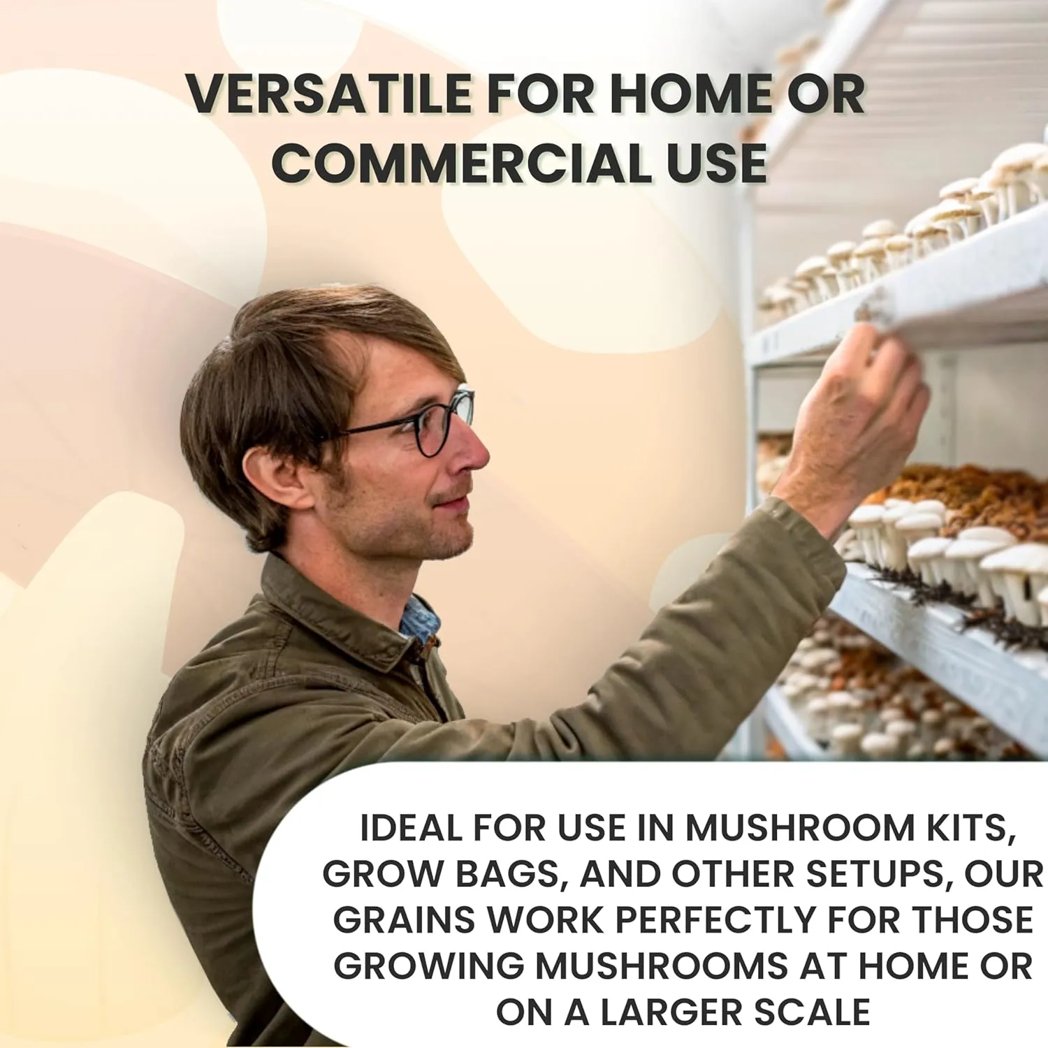 Mushroom Growing Kit | Sterilized Rye Grain | Magic Indoor Grow Bags for Mushrooms | Shroom Home Cultivation Magic Supplies | Without Spores | Without Injection Ports | 1 Pound (6 Pack)