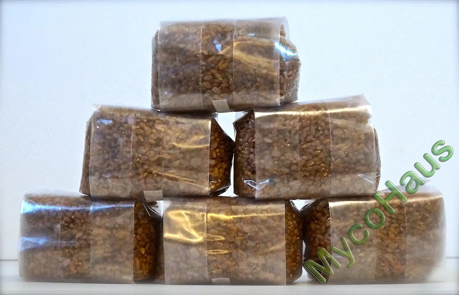 Mushroom Growing Kit | Sterilized Rye Grain | Magic Indoor Grow Bags for Mushrooms | Shroom Home Cultivation Magic Supplies | Without Spores | Without Injection Ports | 1 Pound (6 Pack)