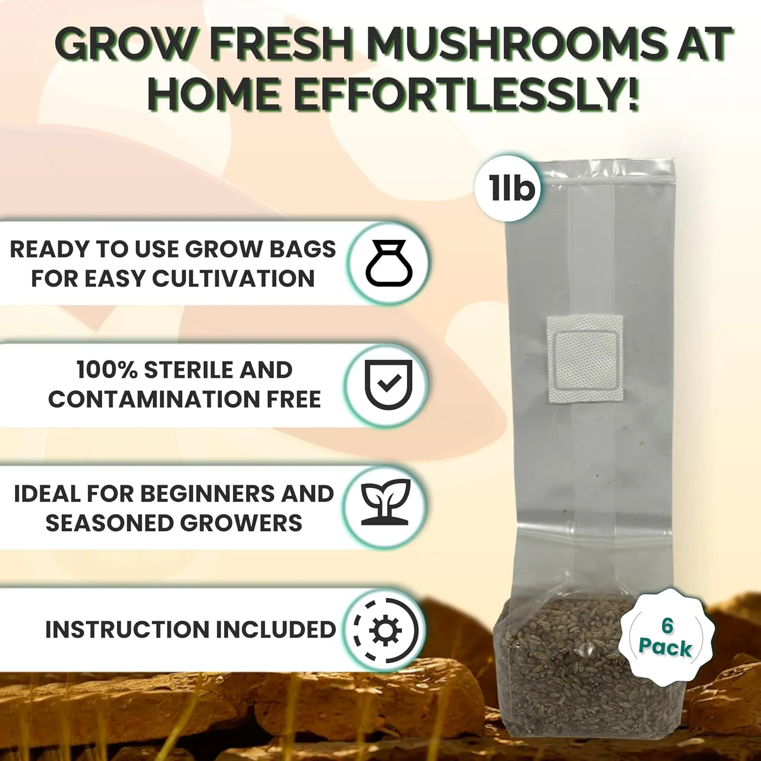 Mushroom Growing Kit | Sterilized Rye Grain | Magic Indoor Grow Bags for Mushrooms | Shroom Home Cultivation Magic Supplies | Without Spores | Without Injection Ports | 1 Pound (6 Pack)