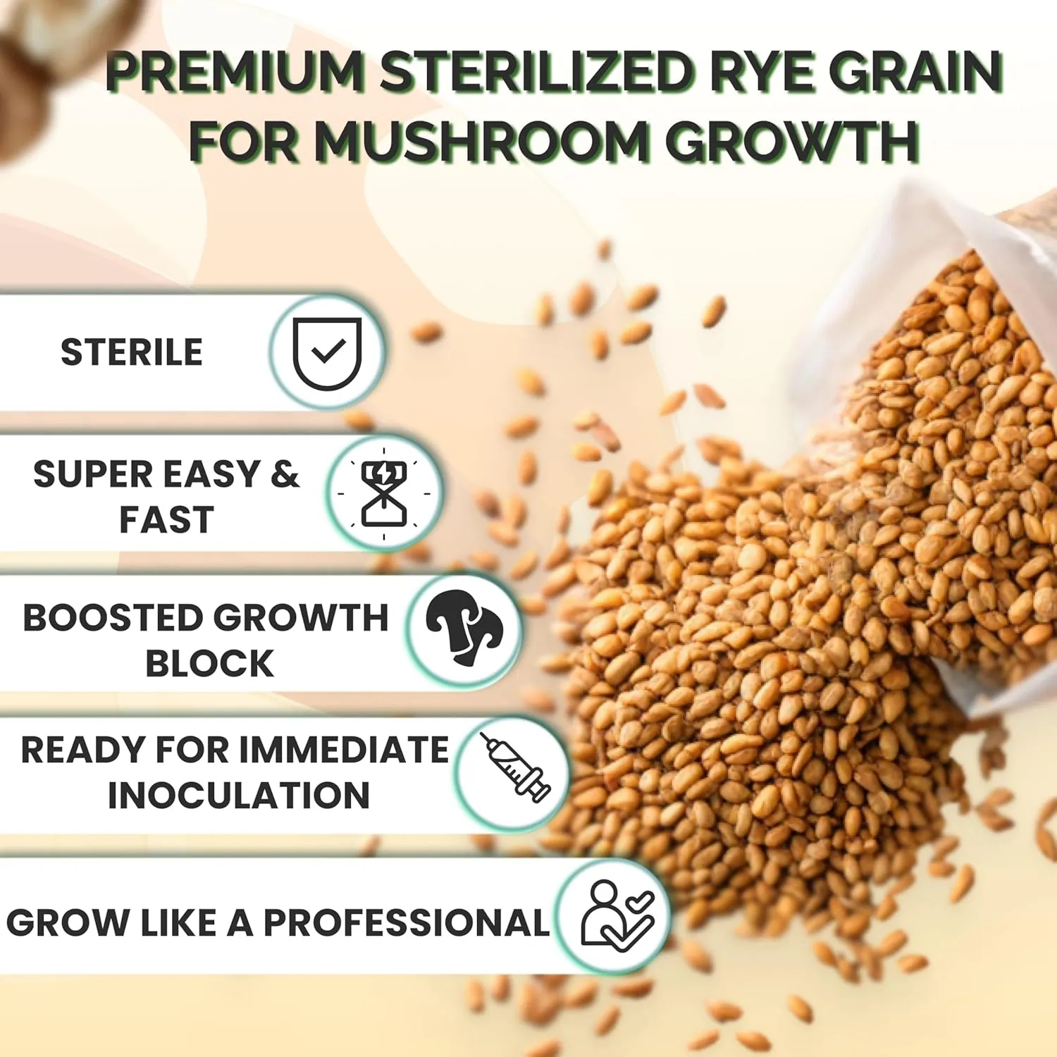 Mushroom Growing Kit | Sterilized Rye Grain | Magic Indoor Grow Bags for Mushrooms | Shroom Home Cultivation Magic Supplies | Without Spores | Without Injection Ports | 1 Pound (6 Pack)