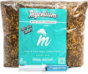 Mycelium Mushroom Growing Kit, Shiitake Gourmet I Oak & Soy Hull Substrate I High Yield Proprietary Mix I All-in-One Grow Bag with 20ml Liquid Culture Syringe for Starter & Pro Home Growers, 8lbs