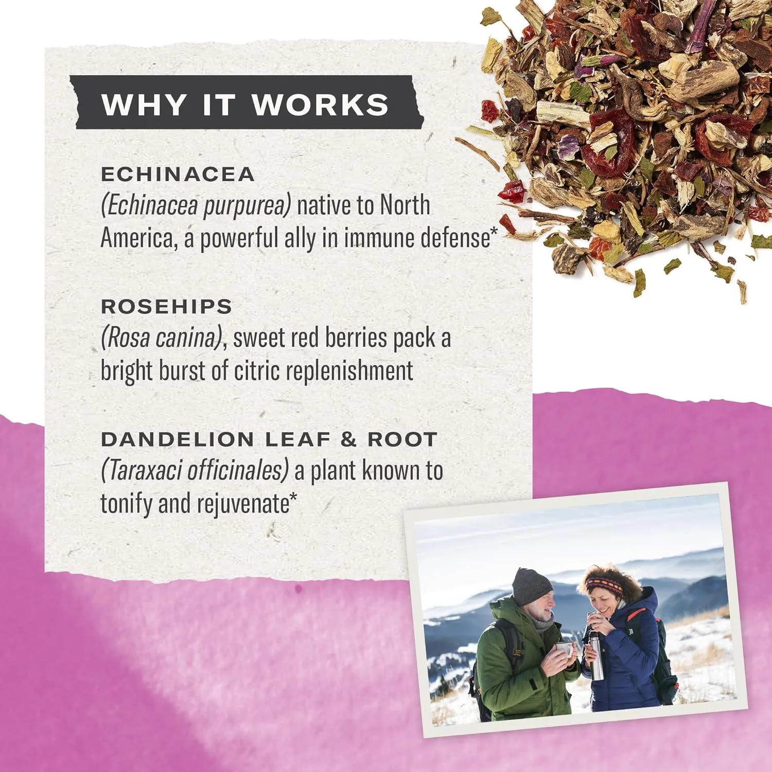 Numi Organic Tea Immunity Variety Pack, 16 Tea Bags (Pack of 3), Elderberry and Echinacea Tea