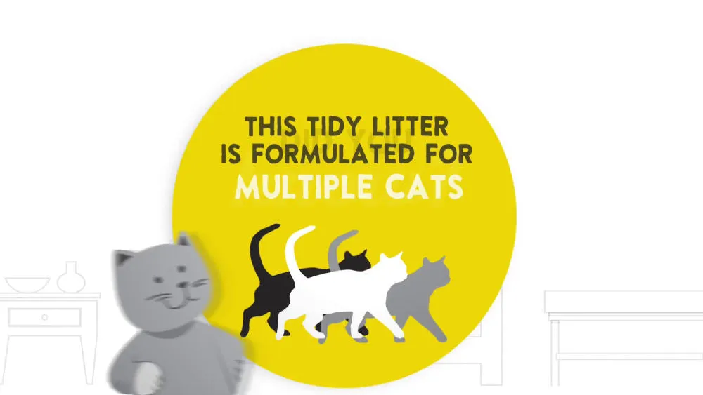 Purina Tidy Cats Non Clumping Cat Litter, 24/7 Performance Multi Cat Litter