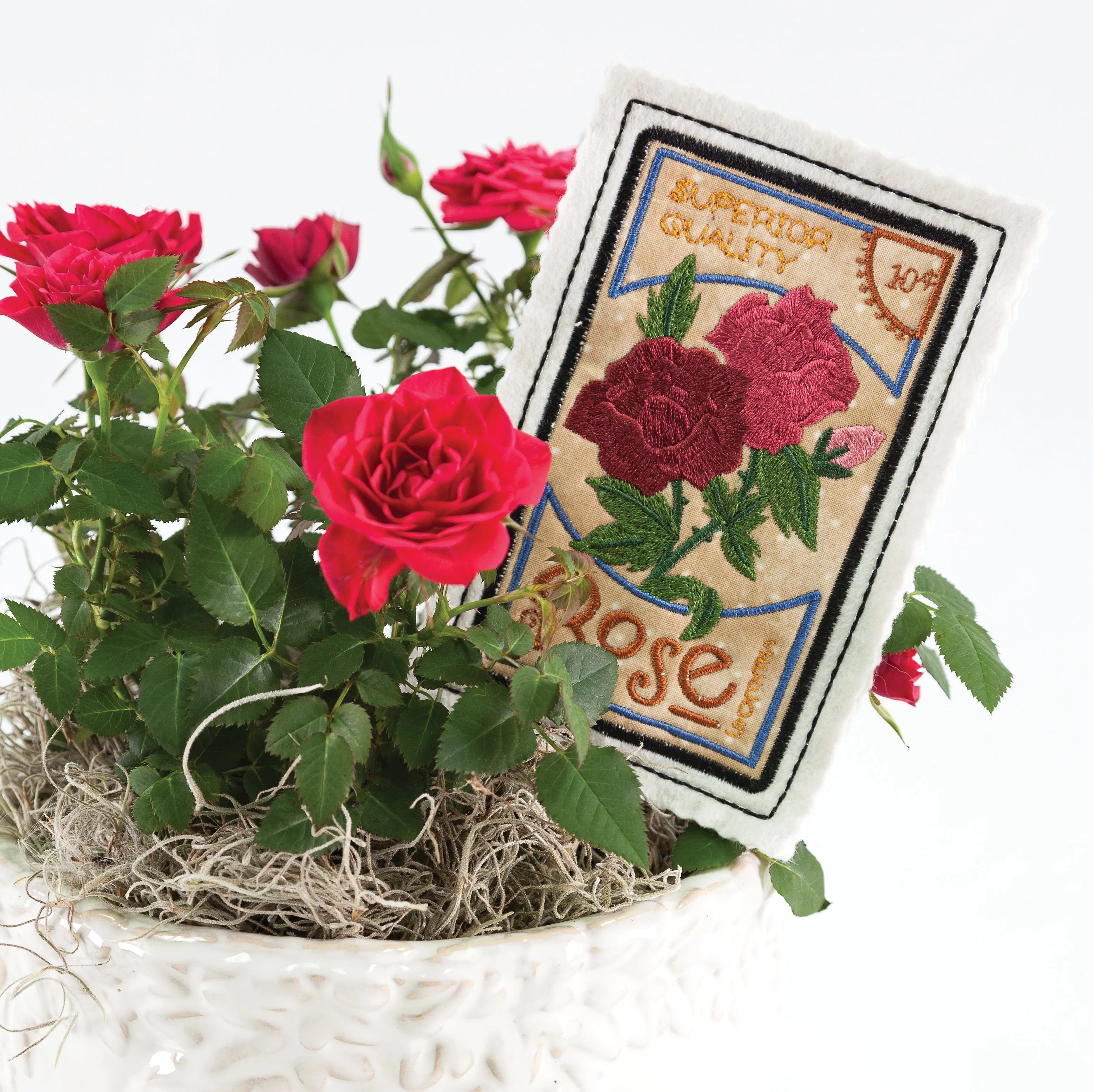 Seed Packets